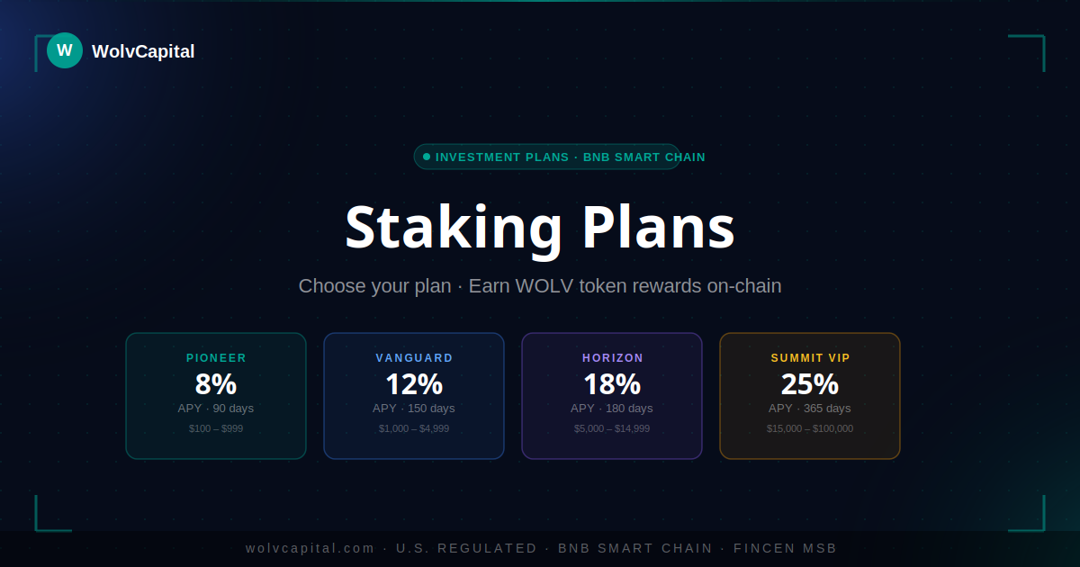 BNB Smart Chain Staking Guide 2026